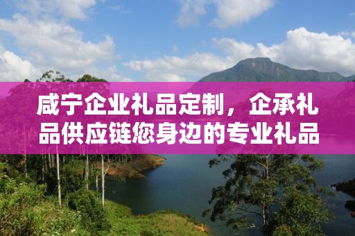 咸宁企业礼品定制，企承礼品供应链您身边的专业礼品定制公司